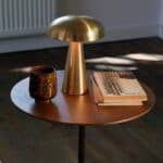 Champignon Lampe Sans Fil